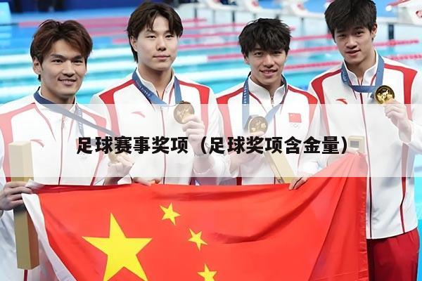 足球赛事奖项(足球奖项含金量)