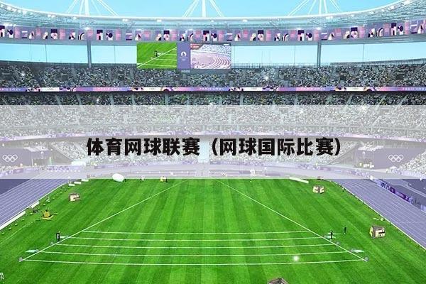 体育网球联赛（网球国际比赛）