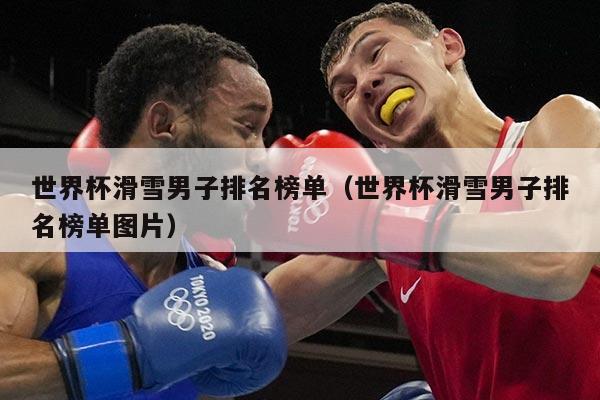 世界杯滑雪男子排名榜单（世界杯滑雪男子排名榜单图片）