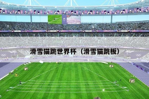 滑雪猫跳世界杯（滑雪猫跳板）