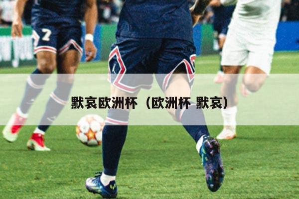 默哀欧洲杯（欧洲杯 默哀）