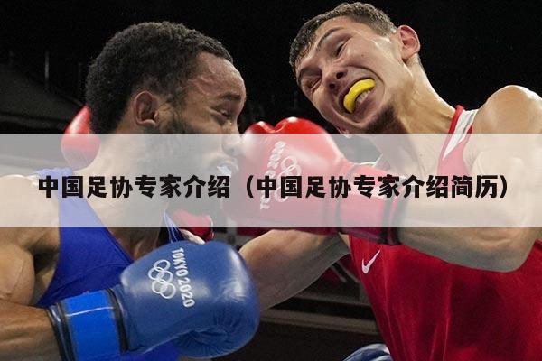 中国足协专家介绍（中国足协专家介绍简历）
