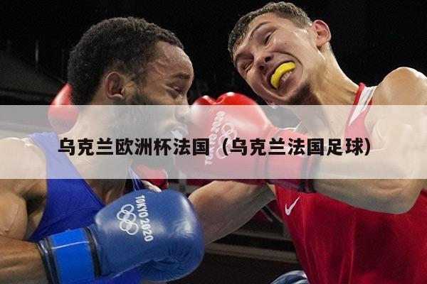 乌克兰欧洲杯法国（乌克兰法国足球）