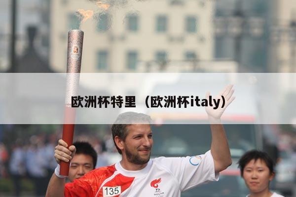 欧洲杯特里（欧洲杯italy）