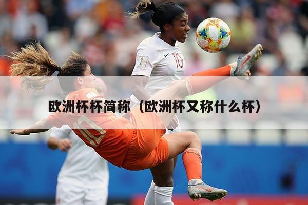 欧洲杯杯简称（欧洲杯又称什么杯）