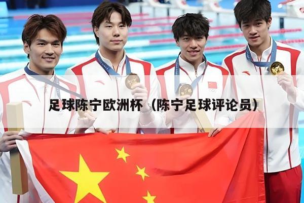 足球陈宁欧洲杯（陈宁足球评论员）