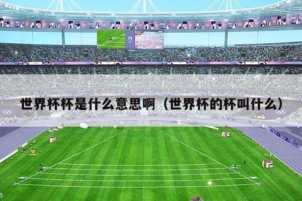 世界杯杯是什么意思啊（世界杯的杯叫什么）